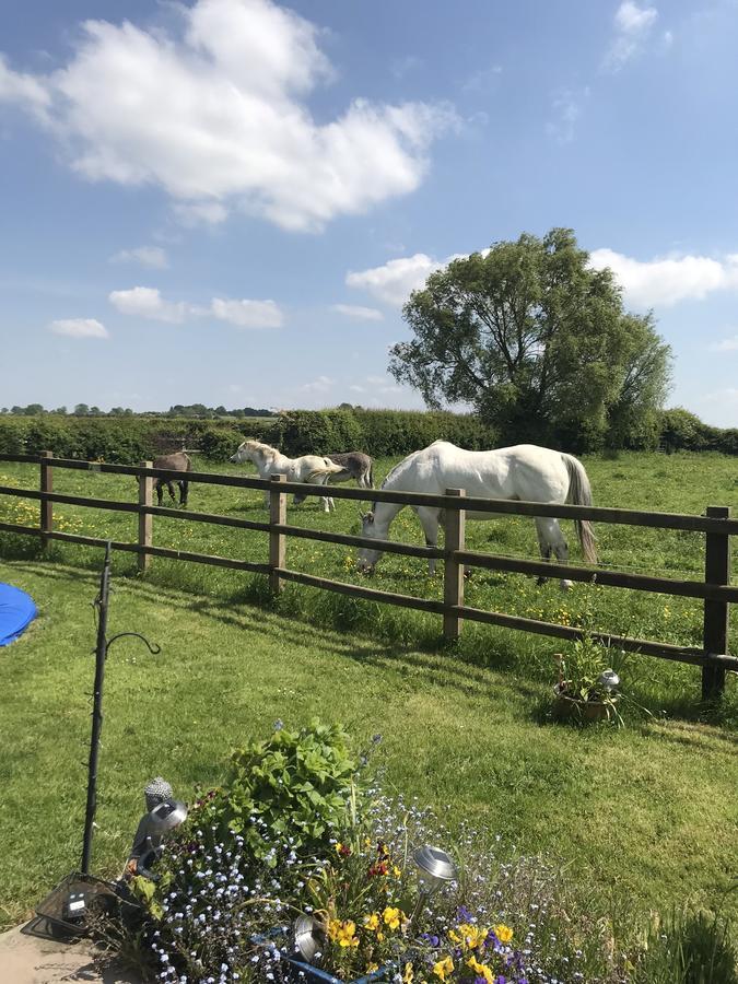 The Paddock At Peacock Farm Near Belvoir Castle Redmile Exterior foto